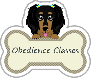 obedience training